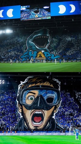 wc9wjtj6wfvqfu04.jpg